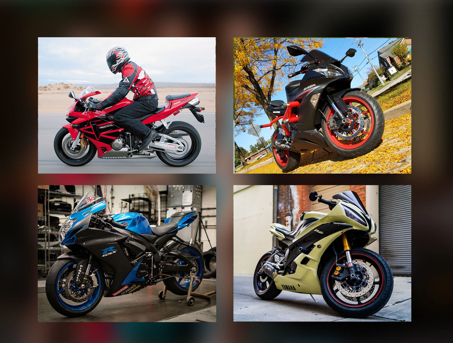 Carene Moto Basso Prezzo, Migliori Carena Moto Basso Prezzo, Selezione Enorme - Carena Motor