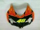 Arancia Verde Carene Moto CBR 1000 RR 04-05