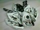 Bianco ABS Kits Carena Moto CBR 1000 RR 04-05
