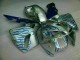 Bianco Blu Fiamma Carene Moto CBR 600 RR 05-06 Bianco Blu Fiamma Carene Moto CBR 600 RR 05-06