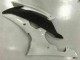 Bianco Kits Carene Moto & Plastica Moto R6 08-16 Bianco Kits Carene Moto & Plastica Moto R6 08-16