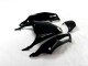 Nero Verde Kit Carenatura Moto Completa ZX14R ZZR 1400 12-21