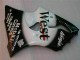 Nero West Ninja Carene Moto ZX6R 00-02