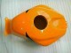 Repsol Carena Moto CBR 600 RR 03-04